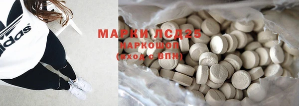PSILOCYBIN Богданович