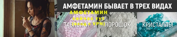 PSILOCYBIN Богданович