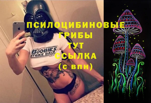дурь Богородск