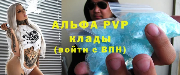 PSILOCYBIN Богданович