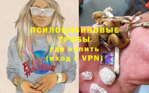дурь Богородск
