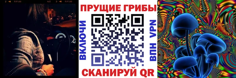 Псилоцибиновые грибы Psilocybine cubensis хочу наркоту Дубовка