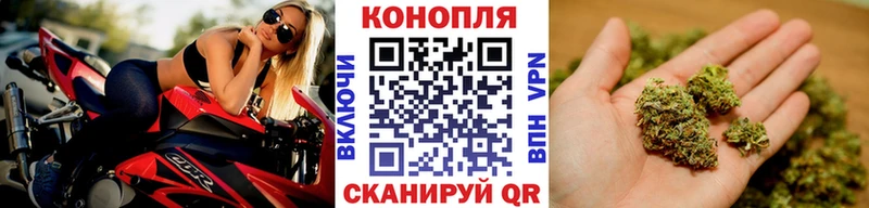 mega вход Дубовка Каннабис план сколько стоит